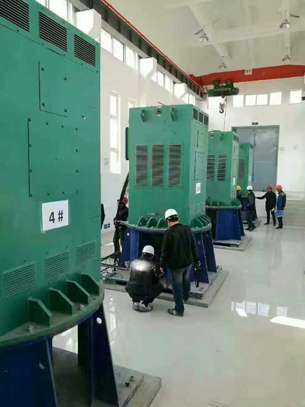 Y8007-6某污水处理厂使用我厂的立式高压电机安装现场