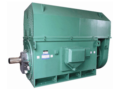 Y8007-6Y系列6KV高压电机